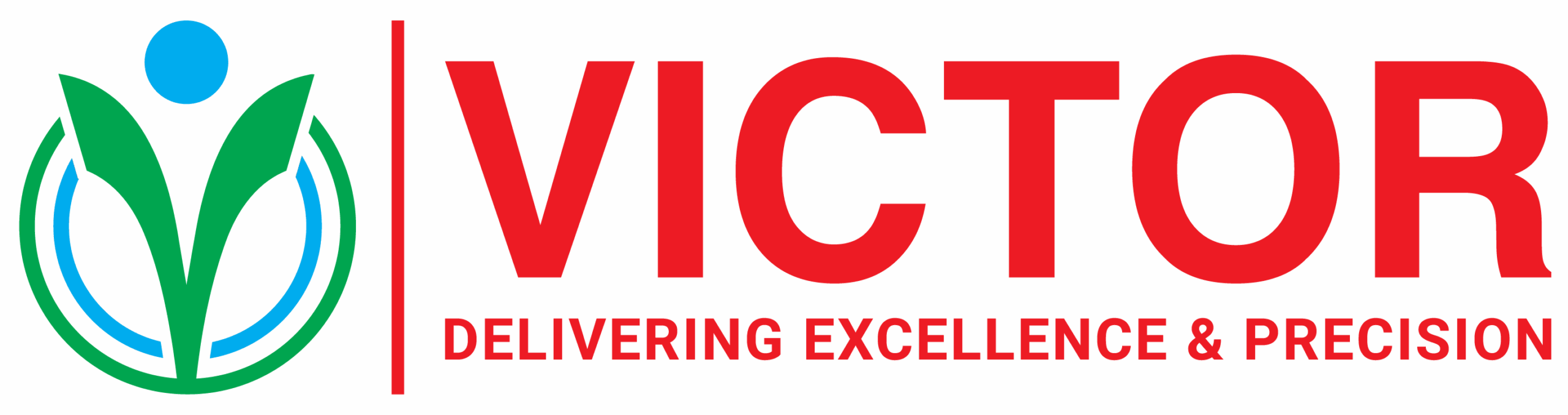 Victor International Engineering Solutions